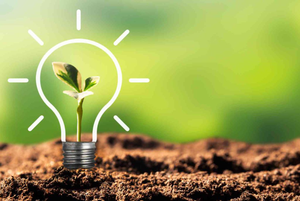 Guru Soft Cuidar El Medio Ambiente Una Responsabilidad Empresarial